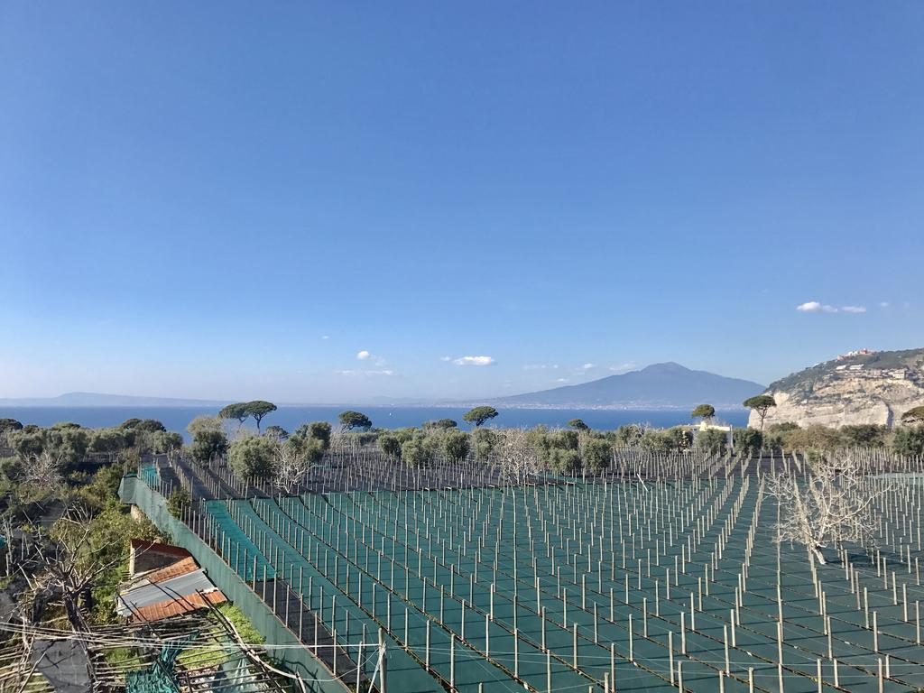 Estate4Home - Villa Lina Sant'Agnello Zewnętrze zdjęcie